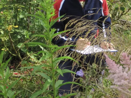 Schulgarten Verbindung mit Nawi